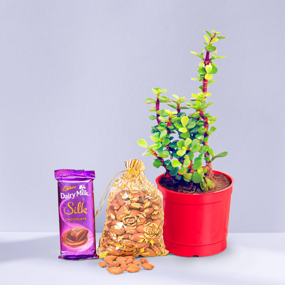  Festival Hamper